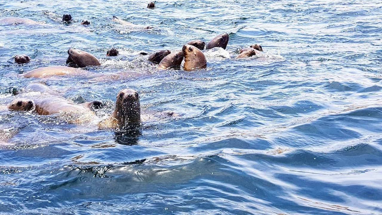 Segunda Circular Solamac