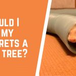 Do ferrets like cat trees?